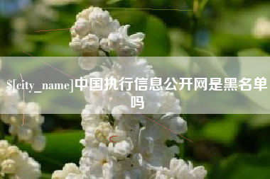 安溪中国执行信息公开网是黑名单吗