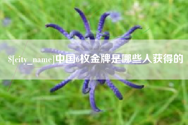 安溪中国6枚金牌是哪些人获得的