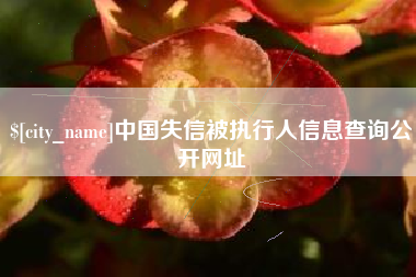 安溪中国失信被执行人信息查询公开网址
