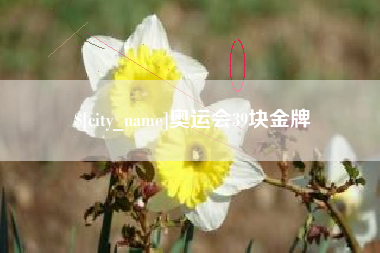 安溪奥运会39块金牌