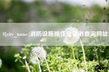安溪消防设施操作员证书查询网址