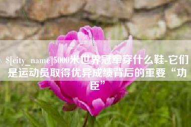 安溪5000米世界冠军穿什么鞋-它们是运动员取得优异成绩背后的重要“功臣”