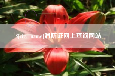 安溪消防证网上查询网站
