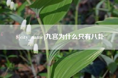 安溪九宫为什么只有八卦