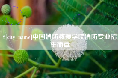 安溪中国消防救援学院消防专业招生简章