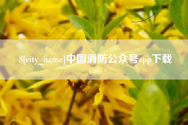 安溪中国消防公众号app下载