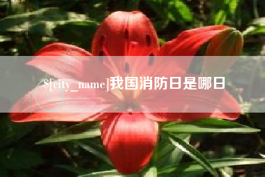 安溪我国消防日是哪日