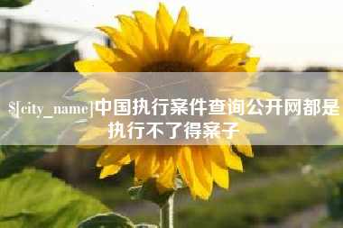 安溪中国执行案件查询公开网都是执行不了得案子