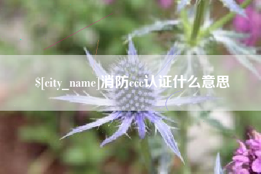 安溪消防ccc认证什么意思