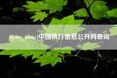 安溪中国执行信息公开网查询