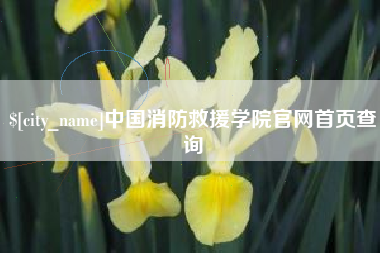 安溪中国消防救援学院官网首页查询
