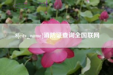 安溪消防证查询全国联网