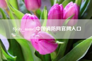 安溪中国消防网官网入口