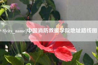 安溪中国消防救援学院地址路线图