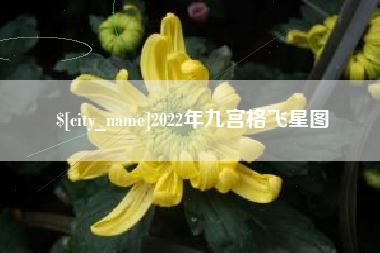 安溪2022年九宫格飞星图