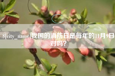 安溪我国的消防日是每年的11月9日对吗？