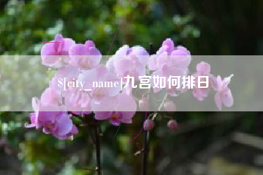 安溪九宫如何排日