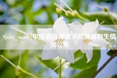 安溪中国消防救援学院湖南招生情况公布