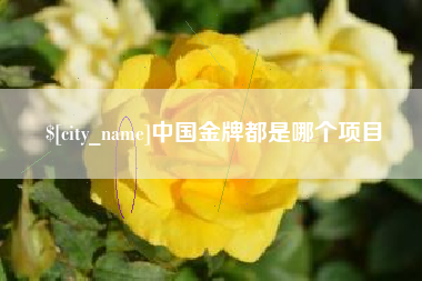 安溪中国金牌都是哪个项目
