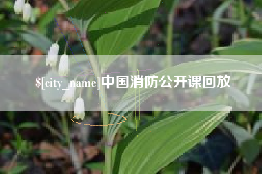 安溪中国消防公开课回放