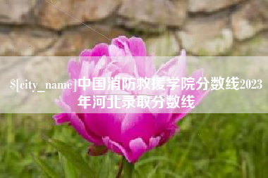 安溪中国消防救援学院分数线2023年河北录取分数线