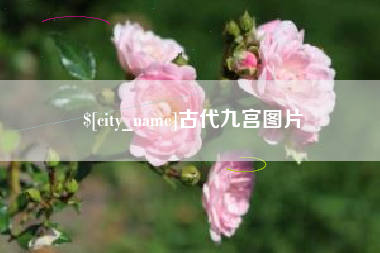 安溪古代九宫图片