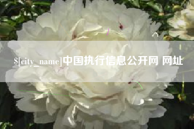 安溪中国执行信息公开网 网址