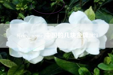 安溪中国的几块金牌2021
