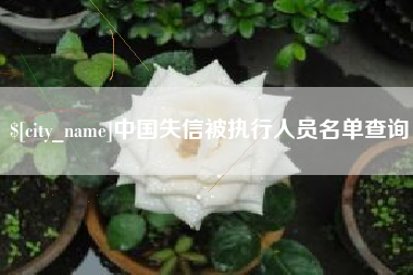 安溪中国失信被执行人员名单查询