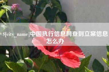 安溪中国执行信息网查到立案信息怎么办