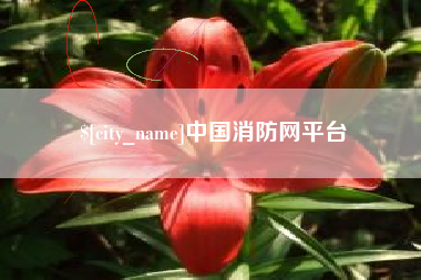 安溪中国消防网平台