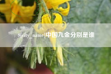 安溪中国九金分别是谁