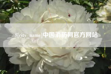 安溪中国消防网官方网站