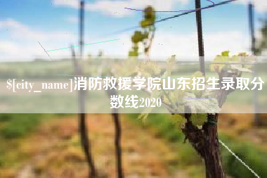 安溪消防救援学院山东招生录取分数线2020