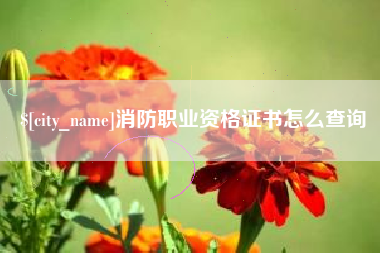 安溪消防职业资格证书怎么查询