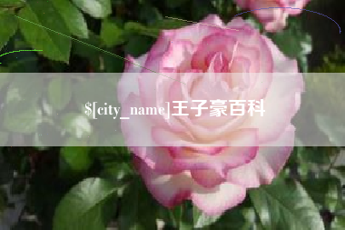 安溪王子豪百科