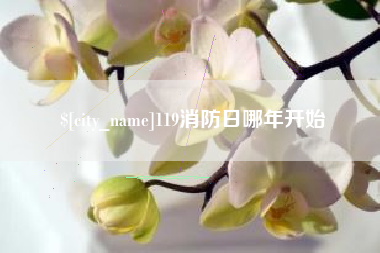 安溪119消防日哪年开始