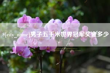 安溪男子五千米世界冠军奖金多少