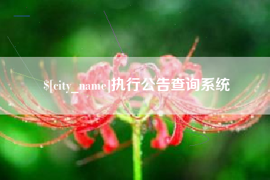 安溪执行公告查询系统