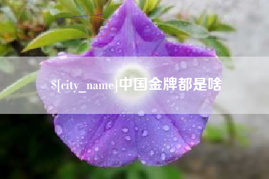 安溪中国金牌都是啥