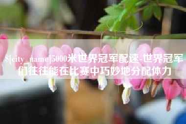 安溪5000米世界冠军配速-世界冠军们往往能在比赛中巧妙地分配体力