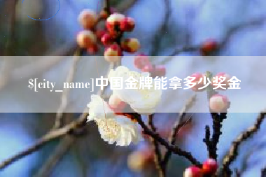 安溪中国金牌能拿多少奖金
