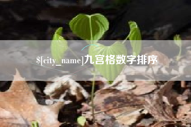 安溪九宫格数字排序