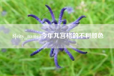 安溪今年九宫格的不利颜色