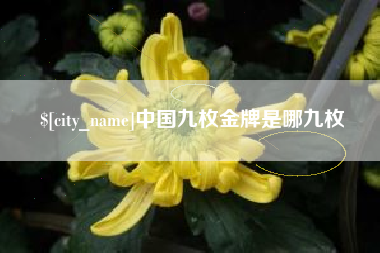 安溪中国九枚金牌是哪九枚