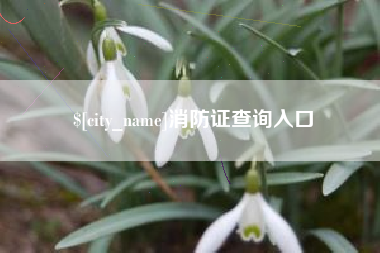 安溪消防证查询入口