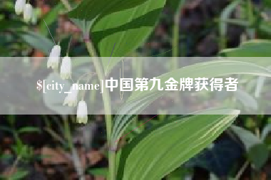 安溪中国第九金牌获得者