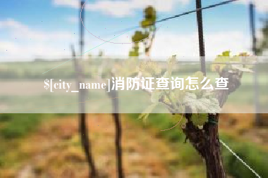安溪消防证查询怎么查
