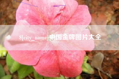 安溪中国金牌图片大全