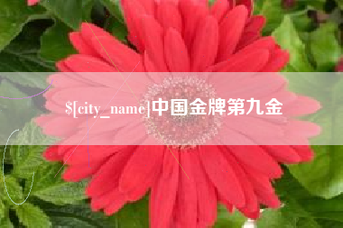 安溪中国金牌第九金